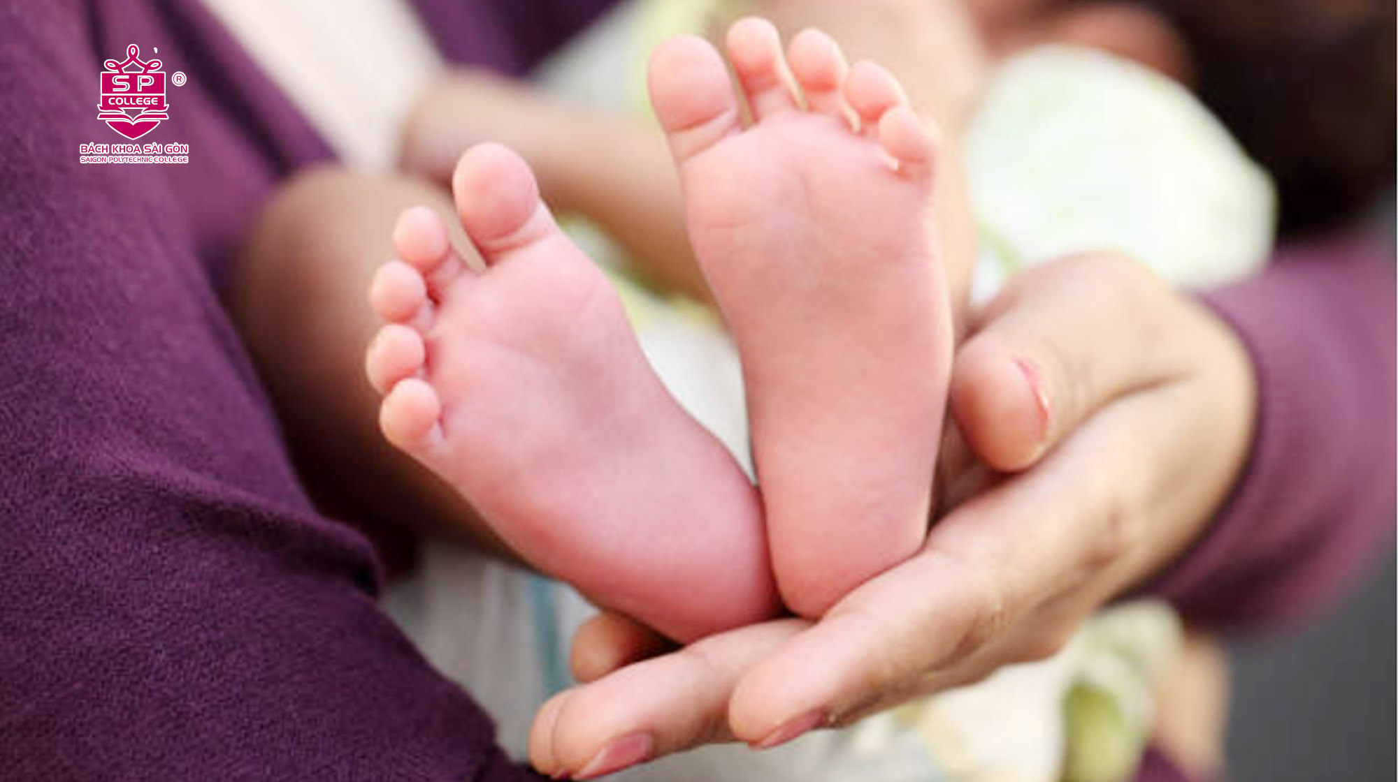 tìm hiểu về ngành hộ sinh